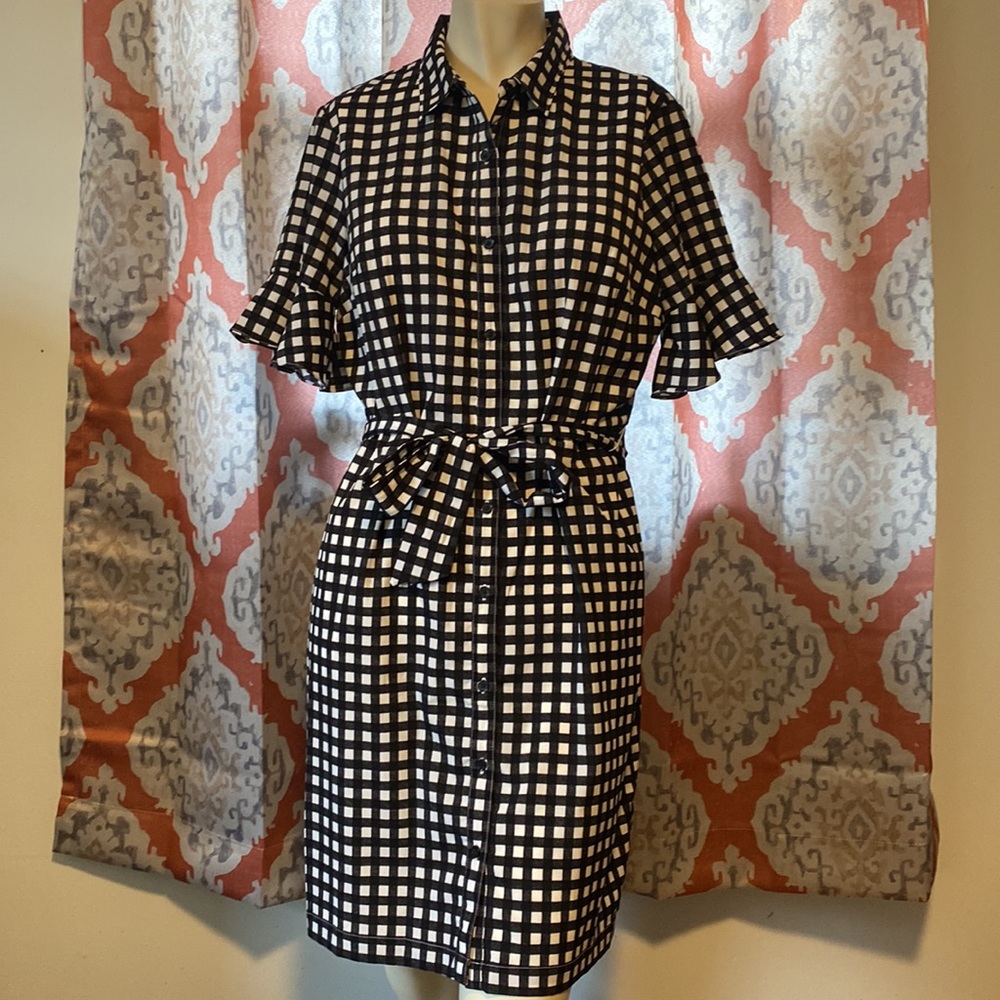 Shift dress with Ruffle Sleeeves